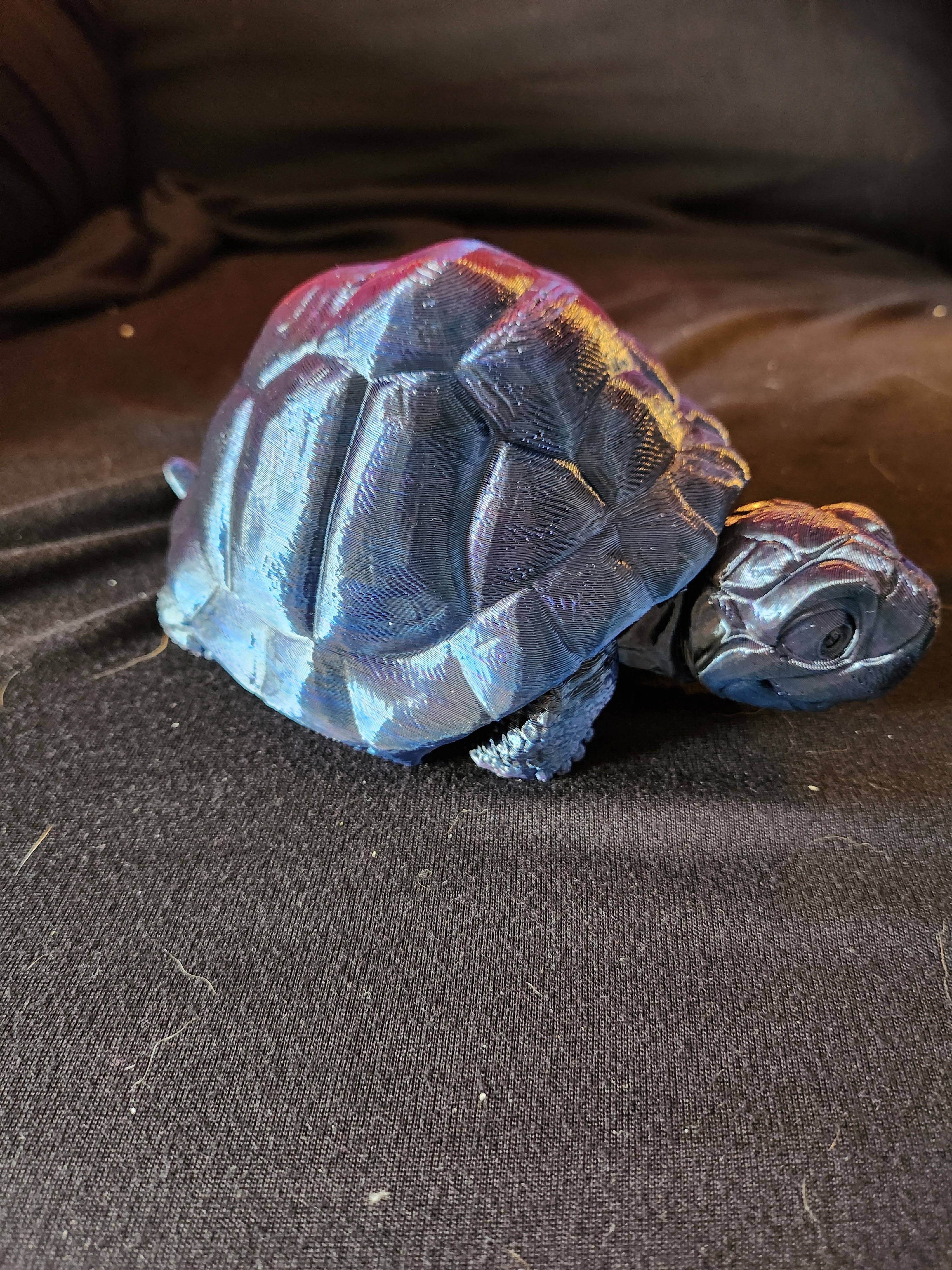 Articulated Tortoise