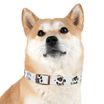 Load image into Gallery viewer, Paw Print Dog Collar
