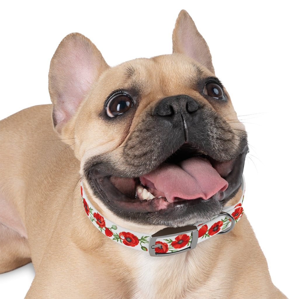 Poppy Dog Collar