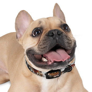 WILDEST Dog Collar