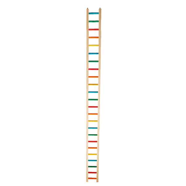 Rainbow Ladder Perch