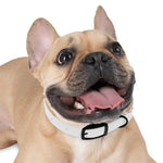 Load image into Gallery viewer, Bubble Gum Dog Collar
