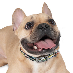WILDER Dog Collar
