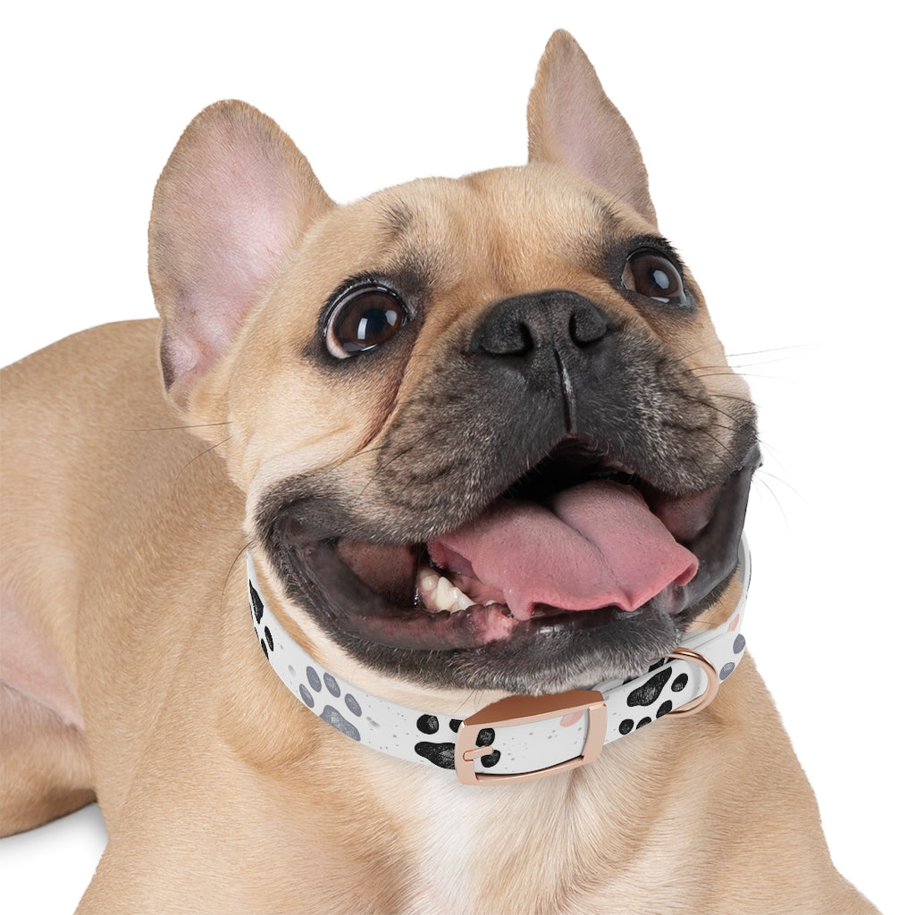 Paw Print Dog Collar