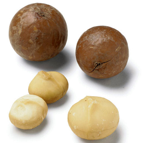 Macadamia Nuts in shell