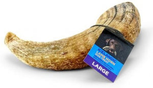 Lamb Horn - Large, 6.5"-7.3"