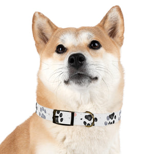 Paw Print Dog Collar