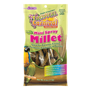 Spray Millet