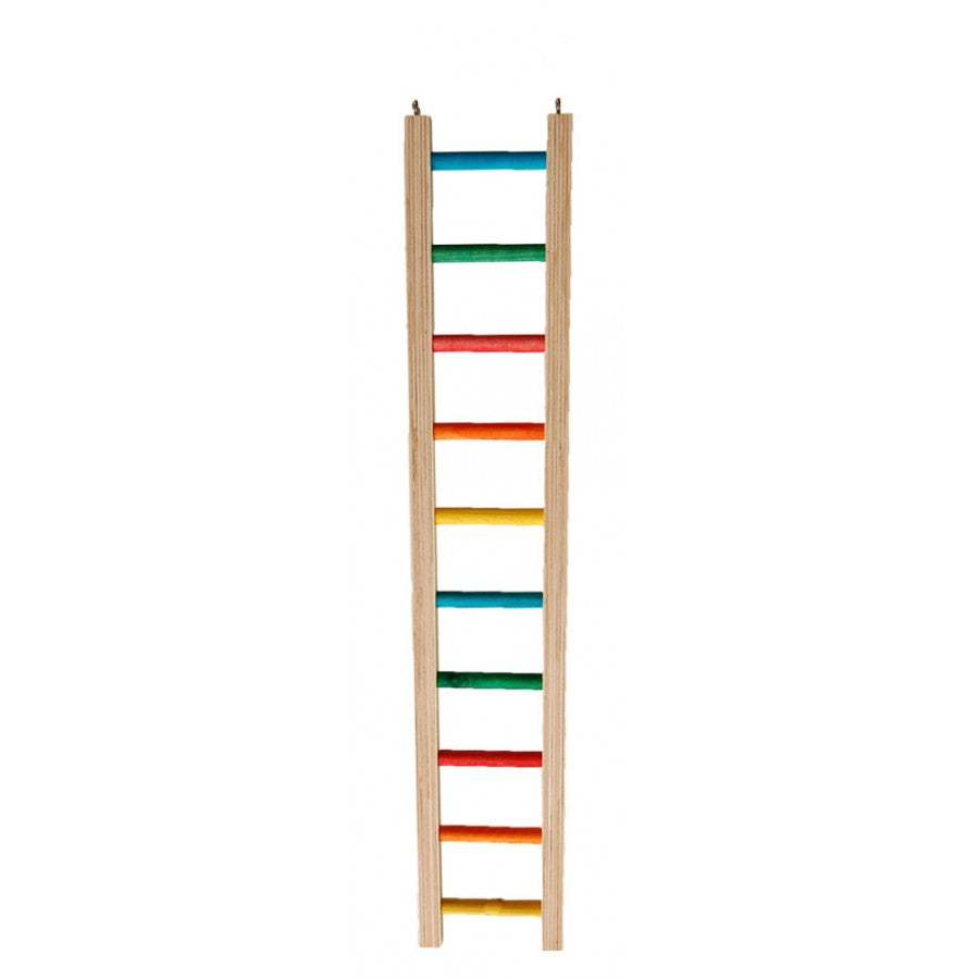 Rainbow Ladder Perch – Animalaholic shop
